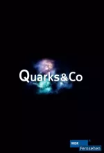Quarks & Co.