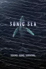 Zvuky moře