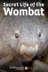 Tajný život vombatů
