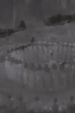 Occasionally I Saw Glimpses of Hawai'i