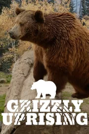 Povstání medvědů grizzly