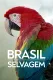 Nespoutaná Brazílie