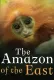 The Amazon of the East