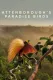 David Attenborough: Rajští ptáci