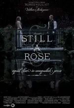 Still a Rose