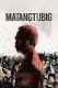 Matangtubig