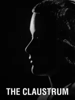 The Claustrum