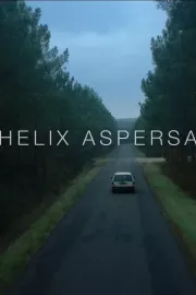 Helix Aspersa