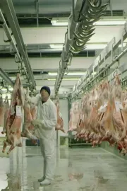 Řezníkův valčík