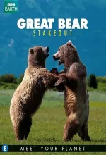 Medvědi grizzly na Aljašce