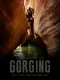 Gorging