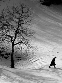 Die Schuhe aus Triest