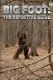 Bigfoot: The Definitive Guide