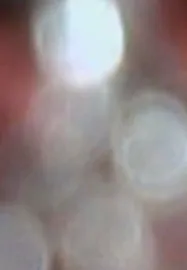 I Turn Over the Pictures of My Voice in My Head