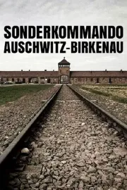 Destruction - Sonderkommando Auschwitz-Birkenau