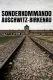 Destruction - Sonderkommando Auschwitz-Birkenau