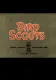 Bird Scouts