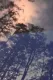 Wilderness: A Country in the Mind