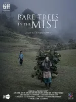 Bare Trees in the Mist