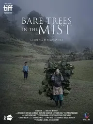 Bare Trees in the Mist