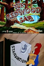 Redwood Sap, The