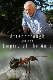 David Attenborough: Mravenčí hora