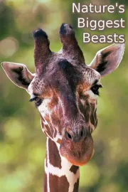 Největší tvorové planety