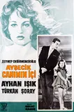 Aysecik-Canimin içi