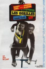 Gorilles, Les