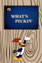 What's Peckin'