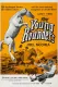Young Rounders, The