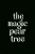 Magic Pear Tree, The