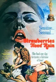 Strawberries Need Rain