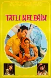 Tatli melegim
