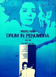 Drum in penumbra