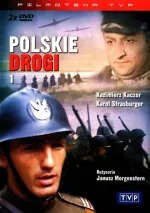 Polskie drogi