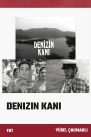 Denizin kani