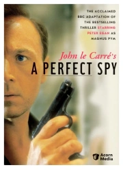 Perfect Spy, A