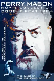 Perry Mason: Případ hanebného ničemy