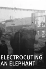 Electrocuting an Elephant