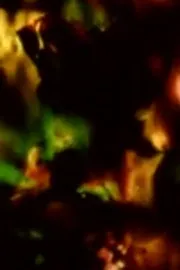 Dark Night of the Soul