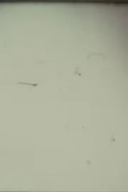 Arabic Numeral Series 13