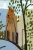 Dog Who Was a Cat Inside, The