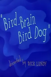 Bird-Brain Bird Dog
