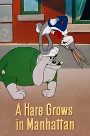Hare Grows In Manhattan, A