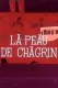Peau de chagrin, Le