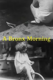 Bronx Morning, A
