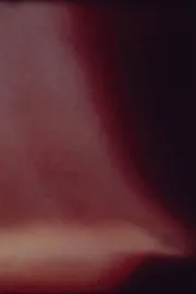 Arabic Numeral Series 7