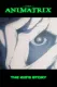Animatrix: Dětský příběh