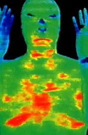 Rumour of True Things, The